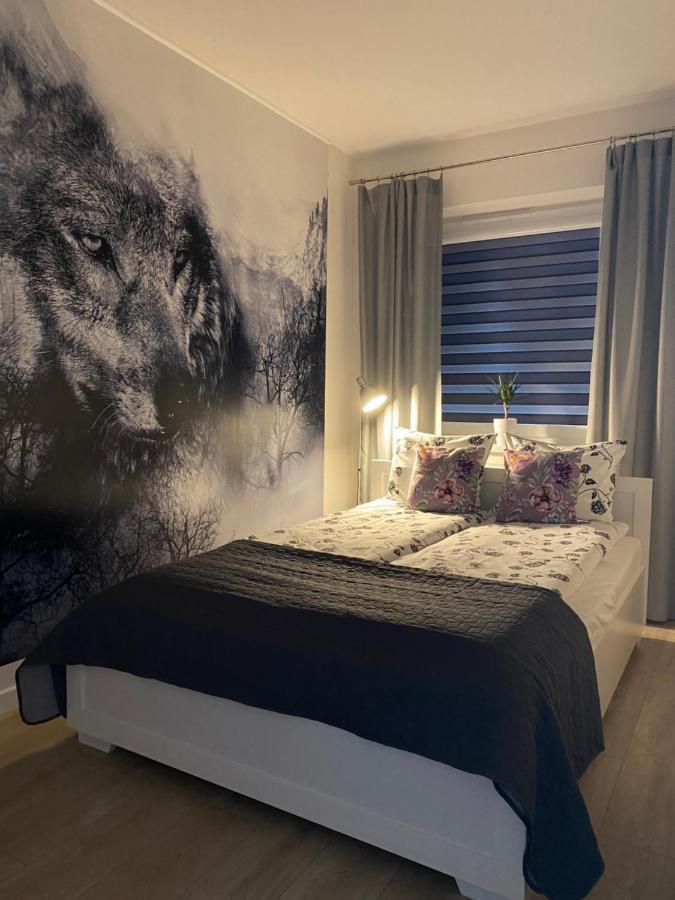 Apartament Bieszczadzkie Widoki ウストシキ・ドルネ エクステリア 写真